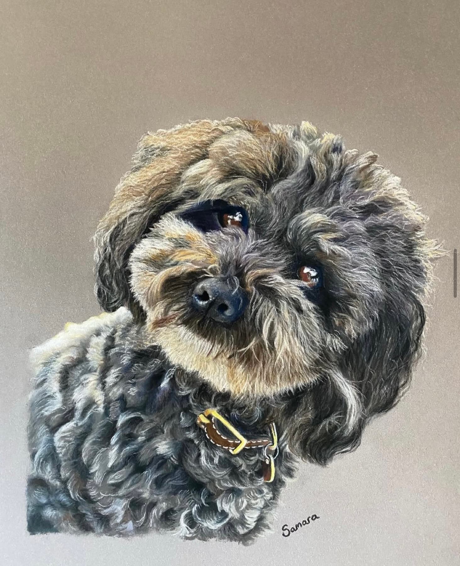 Pastel portrait of Bambo, a curly-coated dog
