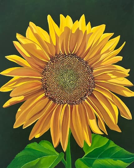 Full Bloom — Sunflower, Acrylic and oil paint on canvas