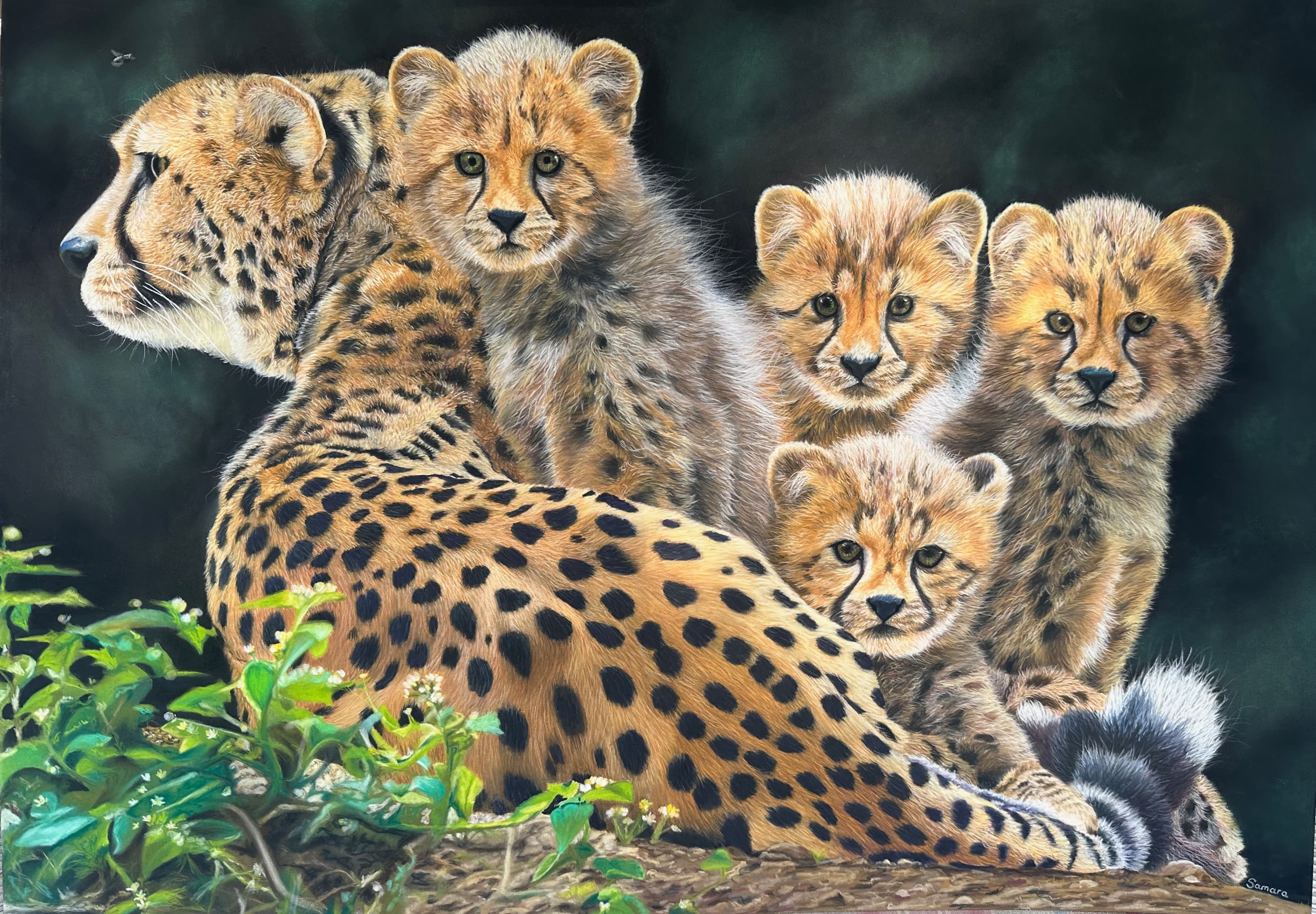 Mother's Sanctuary — cheetah resting with four cubs