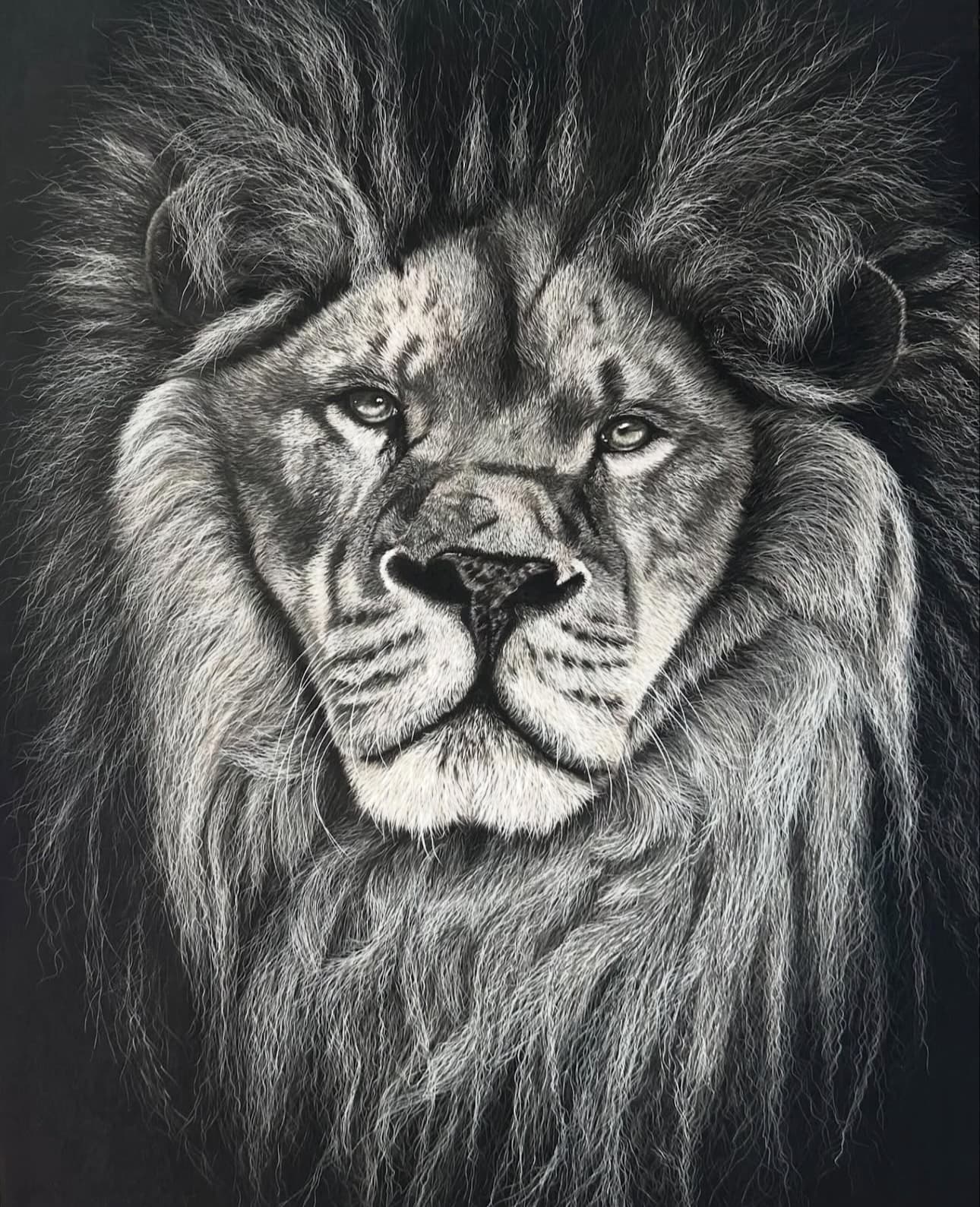 Out of the Shadows — black and white lion portrait