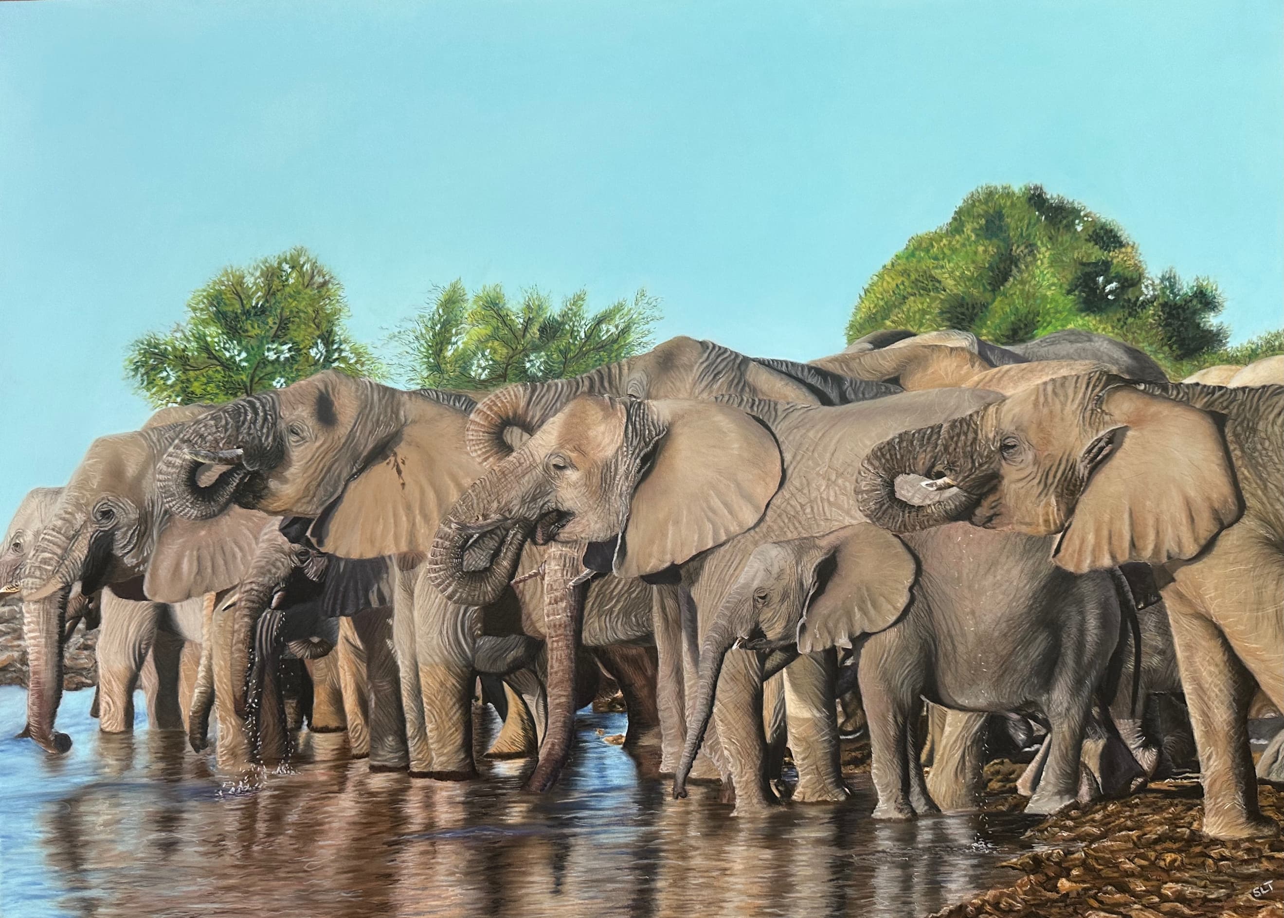 Rhapsody at the Watering Hole — Elephant herd, Pastel pencil on Pastelmat